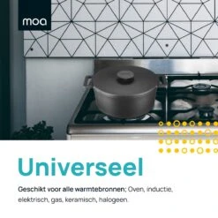 MOA Gietijzeren Braadpan - Inhoud 7,1 Liter - 29CM - Rond - Alle Warmtebronnen - Ook Voor Inductie - Gewicht 7,6 Kg - Zwart - MC29B -Home Keuken Winkel 1200x1200 388