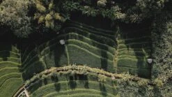 Sola Bestekset Bali - Modern - 9 Persoons - 90 Delig - Zilverwit Edelstaal 18/10 - RVS - Zilver 10 Sola Bestekset Bali - Modern - 9 Persoons - 90 Delig - Zilverwit Edelstaal 18/10 - RVS - Zilver -Home Keuken Winkel 1200x675 14