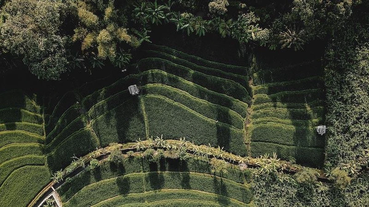 Sola Bestekset Bali - Modern - 9 Persoons - 90 Delig - Zilverwit Edelstaal 18/10 - RVS - Zilver 6 Sola Bestekset Bali - Modern - 9 Persoons - 90 Delig - Zilverwit Edelstaal 18/10 - RVS - Zilver - Afbeelding 4