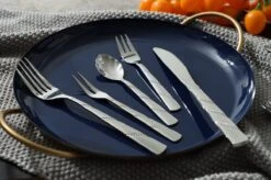 Swiss Pro+ Bestekset In Koffer-72 Delig-12 Persoons-Zwitsers Kwaliteit-Complete Set-100% Roestvrijstaal-Modern 24 Swiss Pro+ Bestekset In Koffer-72 Delig-12 Persoons-Zwitsers Kwaliteit-Complete Set-100% Roestvrijstaal-Modern -Home Keuken Winkel 1200x799 79