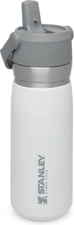 Stanley The IceFlow™ Flip Straw Water Bottle 0,65L - Thermosfles - Lagoon -Home Keuken Winkel 396x1200 1