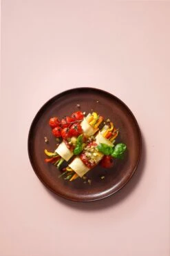 Palmer Serviesset Bama Copper Stoneware 6-persoons 24-delig Koper 23 Palmer Serviesset Bama Copper Stoneware 6-persoons 24-delig Koper -Home Keuken Winkel 800x1200 39